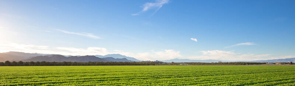 Almacenamiento de agua y químicos en agroindustria