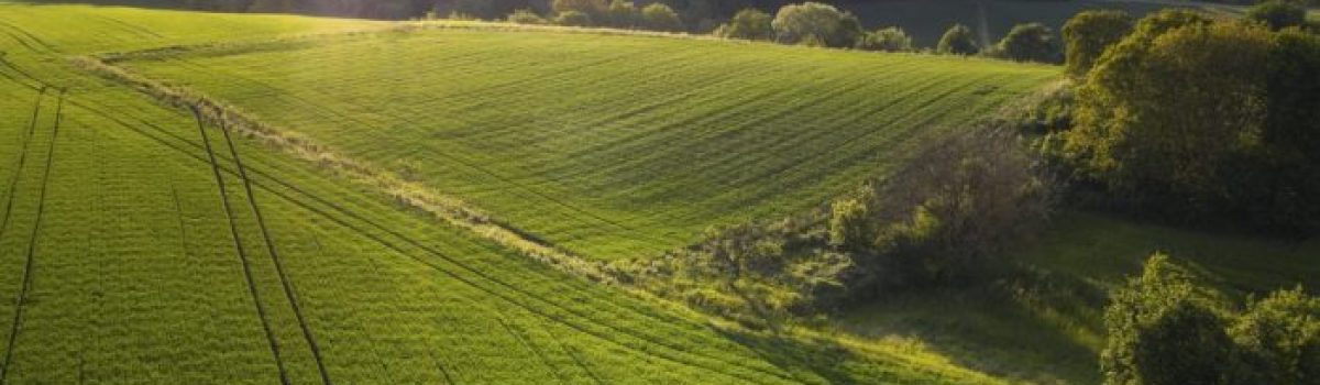 Agroindustria argentina: Las soluciones ideales para el campo