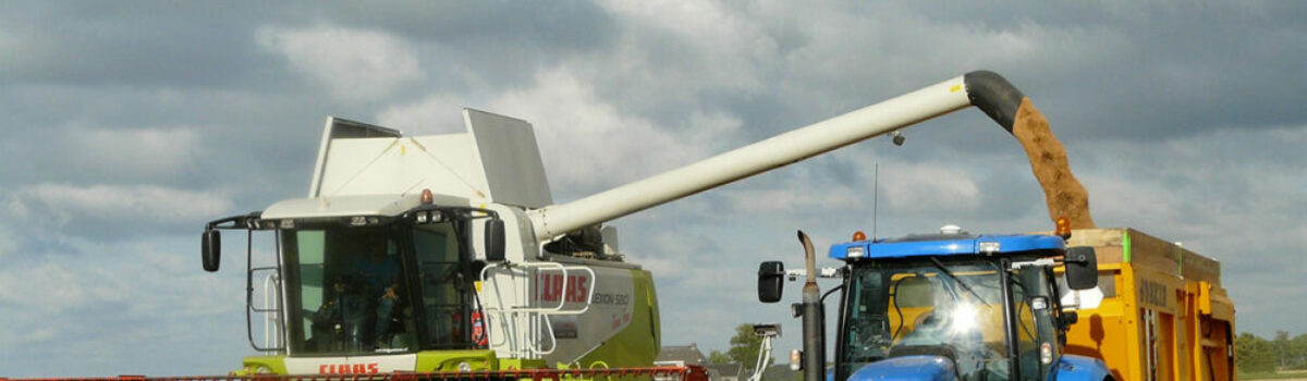 Los mejores consejos para tus silobolsas