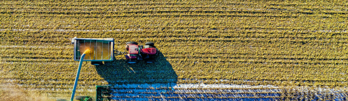 Qué es la agroindustria y por qué es importante en Argentina