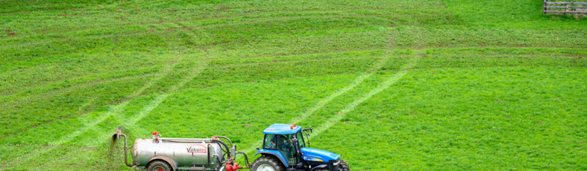 ¿Qué son y qué aportan los fertilizantes orgánicos a la agricultura?