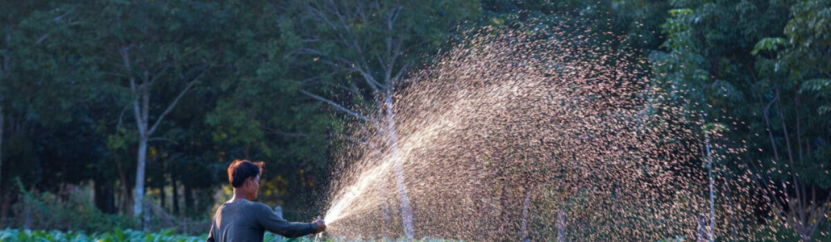 ¿Cómo aprovechar el agua de lluvia en el campo?