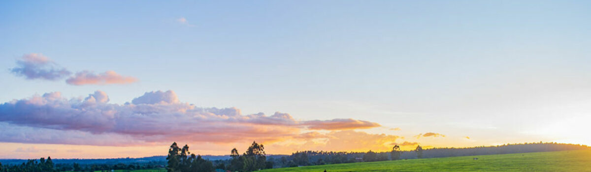 Principales empresas agropecuarias en Argentina