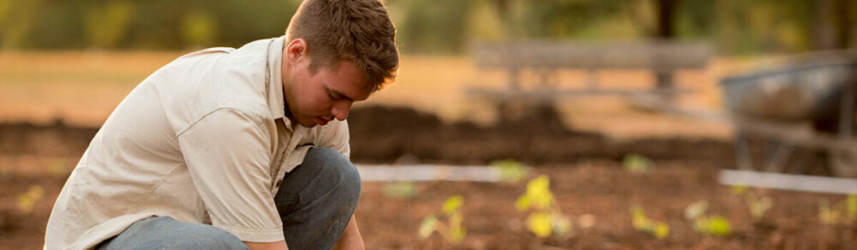 Por qué son tan importantes los ingenieros agrónomos