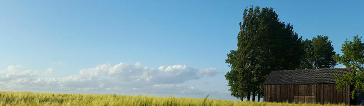 Todo sobre los bioestimulantes en el agro