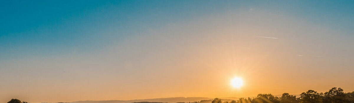 Seis índices para mejorar tu campo