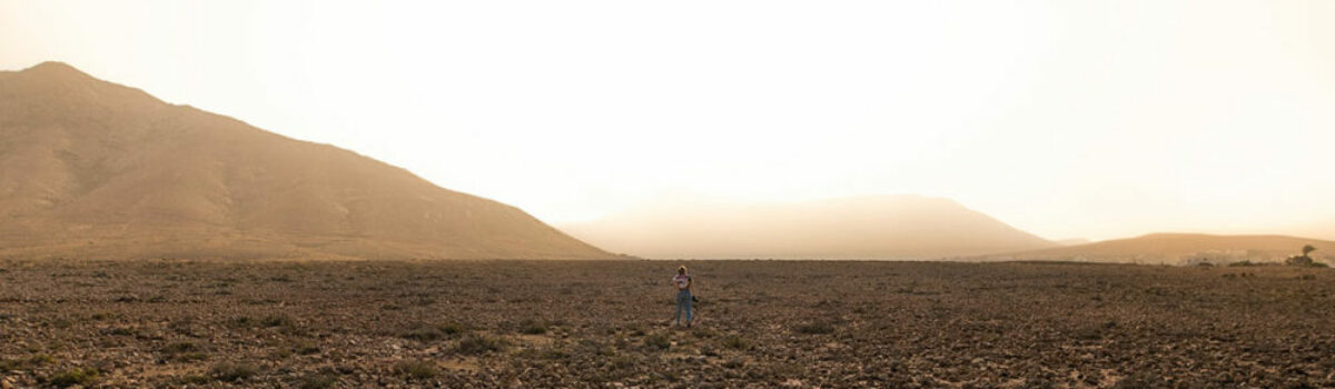 ¿Por qué es importante la temperatura del suelo?