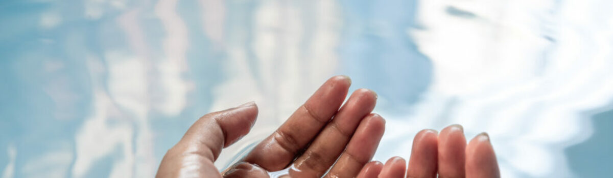 Usos del agua de lluvia en la industria ganadera