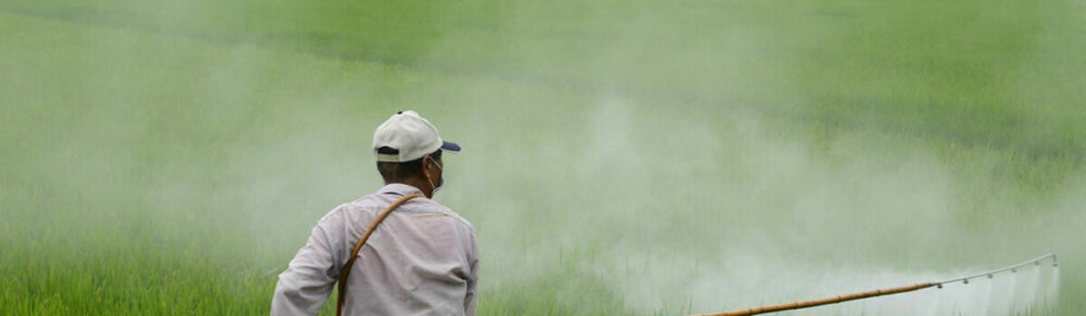 ¿Qué son los herbicidas selectivos?