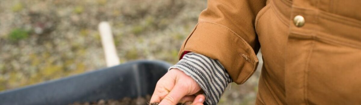 ¿Cómo influye la salinidad en los suelos agrícolas?