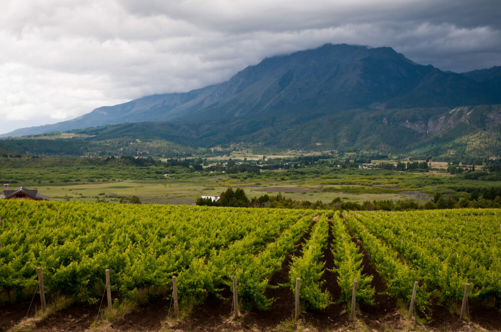 Productos que ayudan a tener mejor los cultivos en Argentina - Rotoplas ...