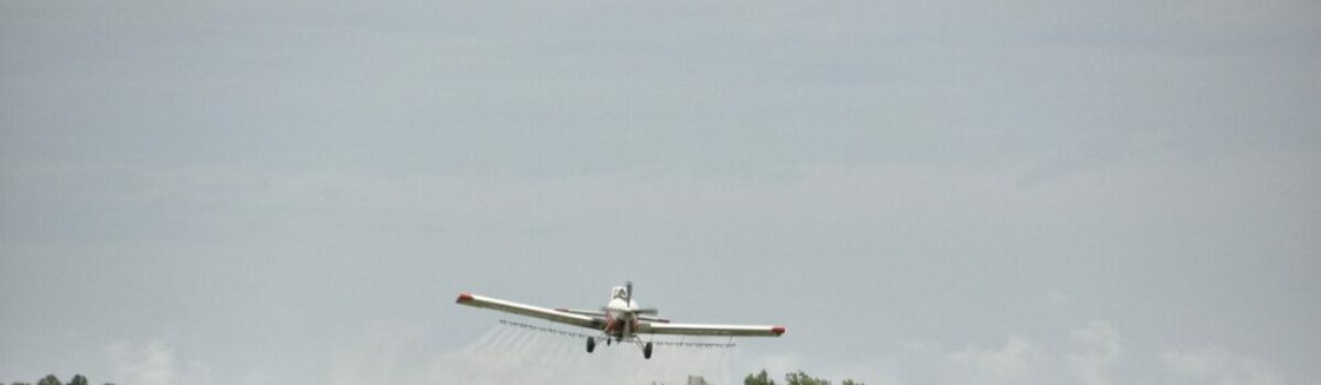 ¿Qué son los herbicidas?