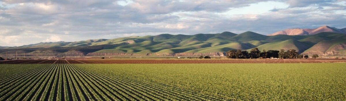 ¿Qué es la agricultura ecológica?