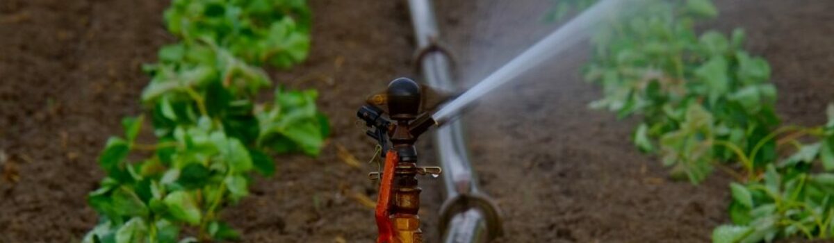 5 consejos para cuidar el agua en la agricultura