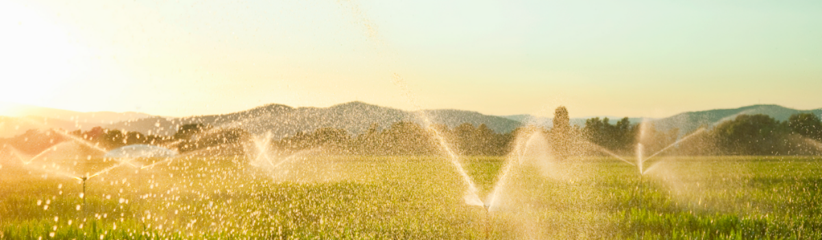 Riego eficiente y sostenible para producción agrícola