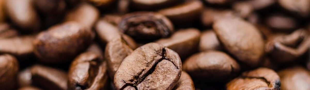 ¿Cuáles son las enfermedades en las plantaciones de café?