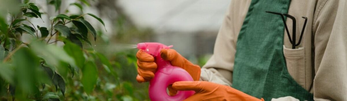 ¿Qué función cumplen los fungicidas?