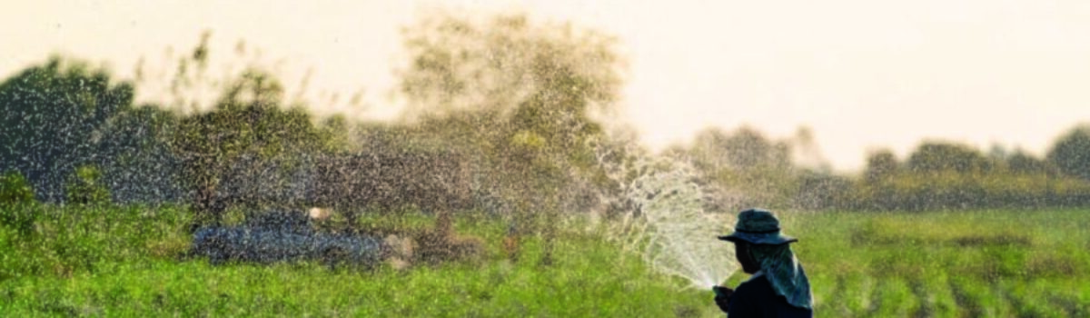 ¿Cómo los cultivos se pueden beneficiar del tratamiento de aguas residuales?