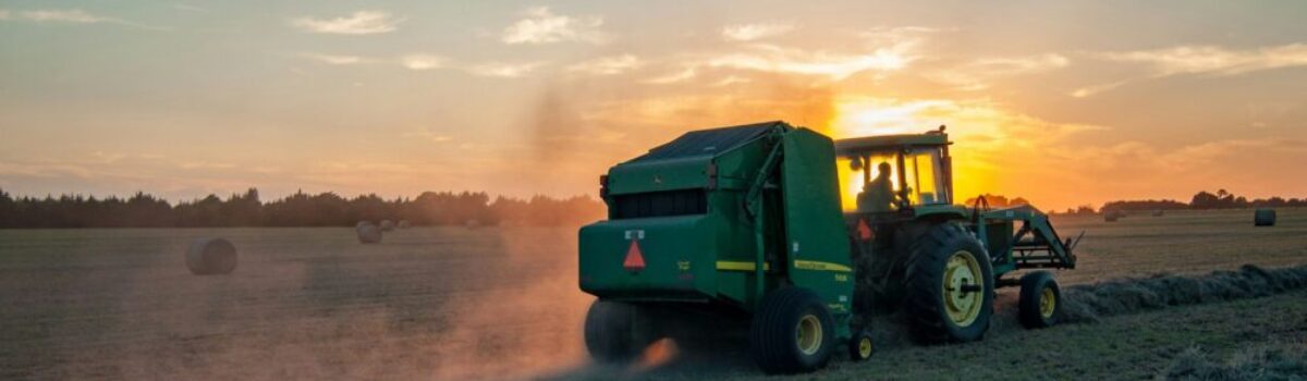 ¿A dónde van las exportaciones agroindustriales argentinas?