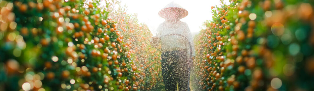 Cómo aprovechar al máximo las aguas de riego agrícola: consejos para una producción sostenible
