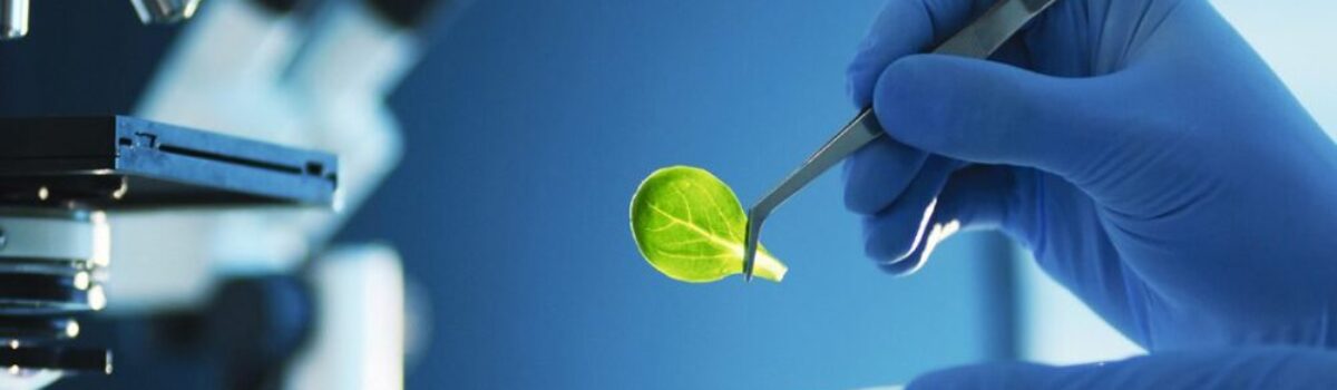 ¿Qué es el concepto de agrobiotecnología?