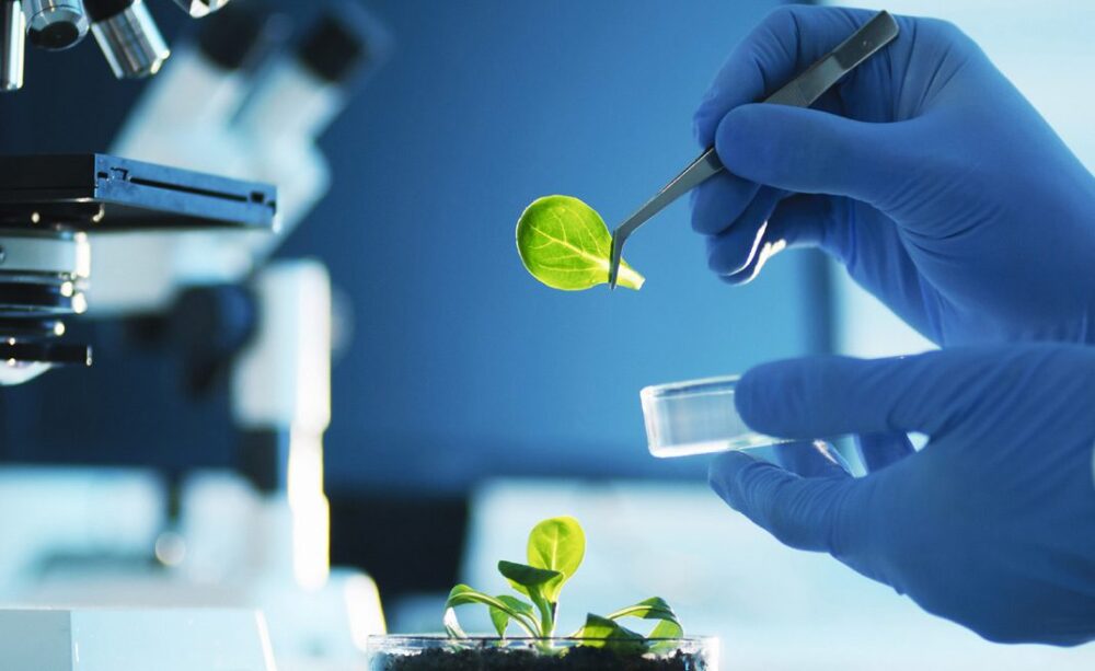 Maestría en Agrobiotecnología