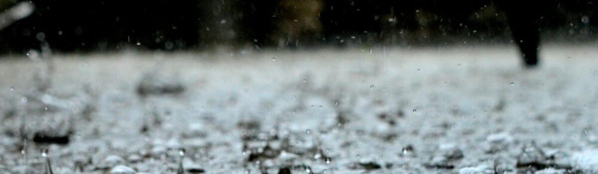 Técnicas de cosecha del agua