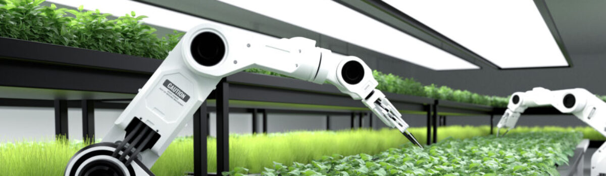 Robots agrícolas en la poscosecha