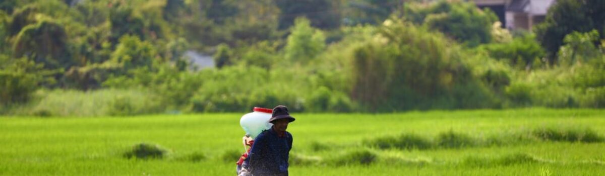 ¿Qué es el registro de Productos Fitosanitarios?