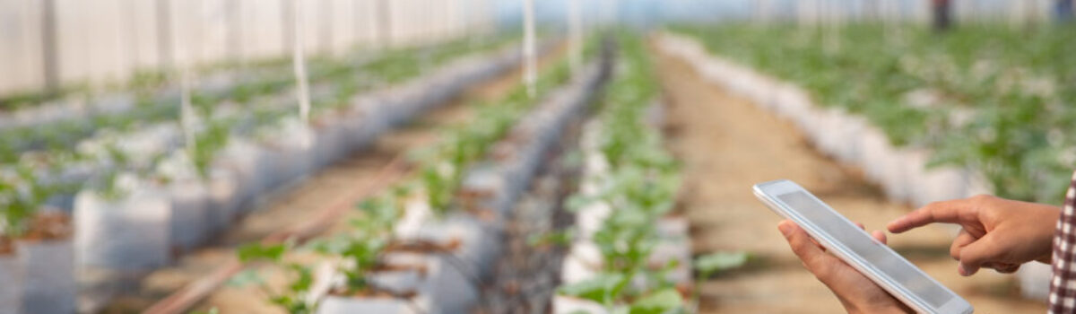 Cómo el Internet de las Cosas (IoT) está Transformando la Gestión del Riego