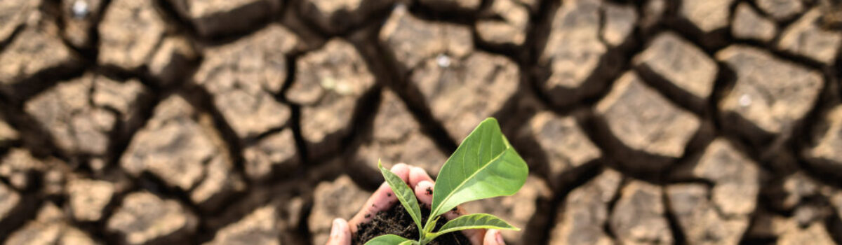 Sector Productivo: Desafíos y Oportunidades Climáticas 2024