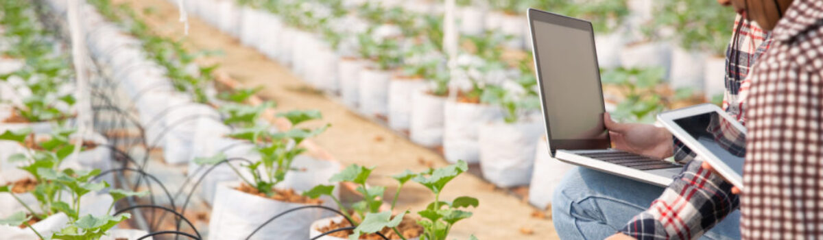 Biotecnología Agrícola: La Nueva Frontera en la Resistencia a Plagas y Enfermedades