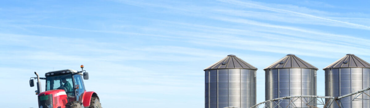 Economía circular en la agroindustria: oportunidades reales