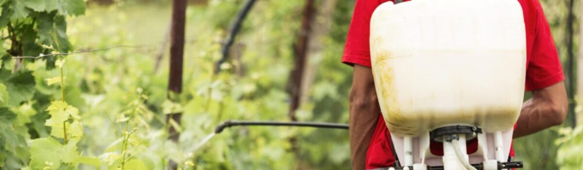 Plagas emergentes: cómo se prepara el sector