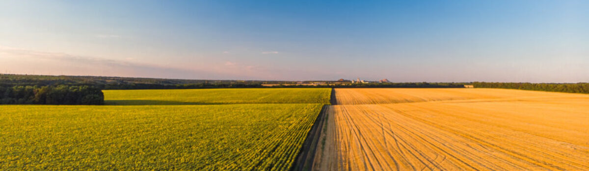 Suelos argentinos: claves para una gestión sostenible