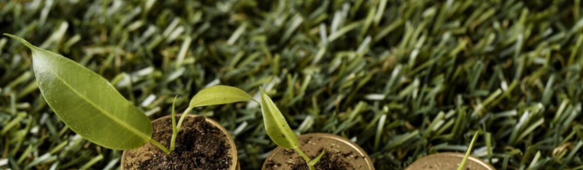 Bioeconomía: el potencial de una nueva matriz productiva