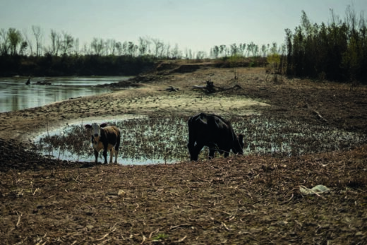 consecuencias de la crisis de agua en Argentina